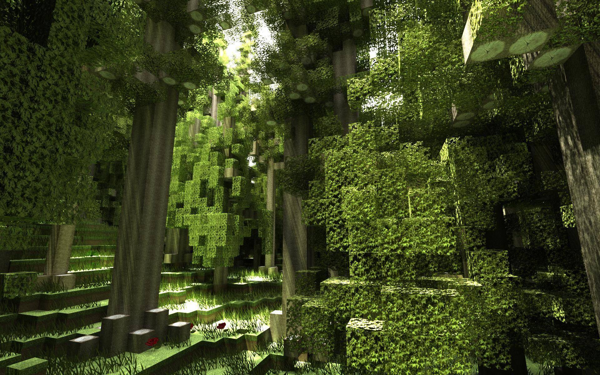 Fond Décran Minecraft Paysage De Forêt